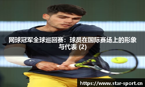 网球冠军全球巡回赛：球员在国际赛场上的形象与代表 (2)