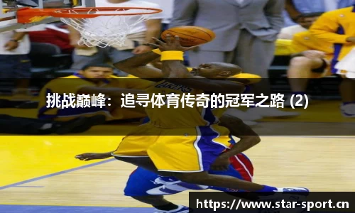 挑战巅峰：追寻体育传奇的冠军之路 (2)